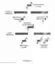 Fig. 04 - PROTEIN SPLICE VARIANT / ISOFORM DISCRIMINATION AND QUANTITATIVE MEASUREMENTS THEREOF