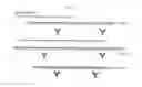 Fig. 06 - PROTEIN SPLICE VARIANT / ISOFORM DISCRIMINATION AND QUANTITATIVE MEASUREMENTS THEREOF