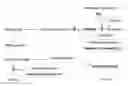 Fig. 01 - Detecting succinylacetone