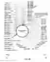 Fig. 08 - Glycosylation of molecules