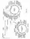 Fig. 40 - Glycosylation of molecules