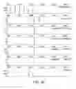 Fig. 52 - Glycosylation of molecules