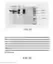 Fig. 80 - Glycosylation of molecules