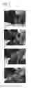 Fig. 08 - Tissue occluding agent comprising an IEIKIEIKIEIKI peptide