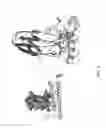Fig. 07 - Engineered polypeptide agents for targeted broad spectrum influenza neutralization