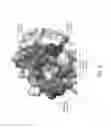 Fig. 09 - Engineered polypeptide agents for targeted broad spectrum influenza neutralization