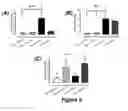 Fig. 06 - Methods For Treating Myocardial Disorders