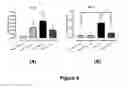 Fig. 07 - Methods For Treating Myocardial Disorders