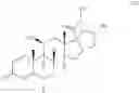 Fig. 07 - Pyrrolidine compounds,pharmaceutical compositions containing the same, devices containing the same, and methods of treating asthma or chronic obstructive pulmonary disease by administering the same