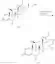 Fig. 161 - Pyrrolidine compounds,pharmaceutical compositions containing the same, devices containing the same, and methods of treating asthma or chronic obstructive pulmonary disease by administering the same