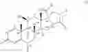 Fig. 197 - Pyrrolidine compounds,pharmaceutical compositions containing the same, devices containing the same, and methods of treating asthma or chronic obstructive pulmonary disease by administering the same
