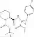 Fig. 55 - Novel Compounds 010