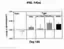 Fig. 20 - PHARMACEUTICAL COMPOSITION AND METHOD FOR TREATING HYPOGONADISM