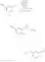 Fig. 41 - Isonicotinamide orexin receptor antagonists