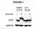 Fig. 02 - Therapeutic oxy-phenyl-aryl compounds and their use