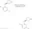 Fig. 205 - Therapeutic oxy-phenyl-aryl compounds and their use