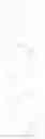 Fig. 92 - Tricyclic heterocyclic compounds, compositions and methods of use thereof