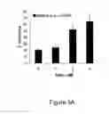 Fig. 08 - Pharmaceutical compositions comprising RET inhibitors and methods for the treatment of cancer