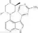 Fig. 216 - CDK Modulators