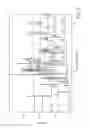 Fig. 03 - PHARMACEUTICAL FORMULATIONS COMPRISING PEMETREXED