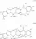Fig. 63 - Tricyclic compound