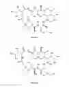 Fig. 06 - Bioactive Compounds
