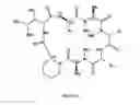 Fig. 07 - Bioactive Compounds