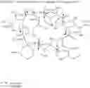 Fig. 24 - Bioactive Compounds