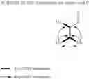 Fig. 27 - Bioactive Compounds