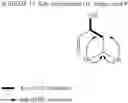 Fig. 29 - Bioactive Compounds