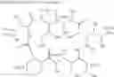 Fig. 30 - Bioactive Compounds