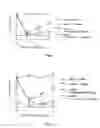 Fig. 02 - Cyclohexane derivative and pharmaceutical use thereof