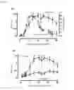 Fig. 04 - AGENT FOR PREVENTING OR TREATING ZOSTER-ASSOCIATED PAIN
