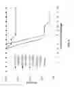 Fig. 05 - Compositions and methods for inhibiting expression of a gene from the ebola virus