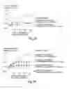 Fig. 03 - SEMI-SOFT C-CLASS IMMUNOSTIMULATORY OLIGONUCLEOTIDES