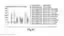 Fig. 08 - SEMI-SOFT C-CLASS IMMUNOSTIMULATORY OLIGONUCLEOTIDES