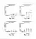Fig. 12 - SEMI-SOFT C-CLASS IMMUNOSTIMULATORY OLIGONUCLEOTIDES