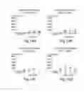 Fig. 16 - SEMI-SOFT C-CLASS IMMUNOSTIMULATORY OLIGONUCLEOTIDES