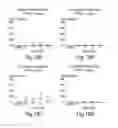 Fig. 20 - SEMI-SOFT C-CLASS IMMUNOSTIMULATORY OLIGONUCLEOTIDES