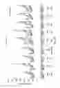 Fig. 34 - SEMI-SOFT C-CLASS IMMUNOSTIMULATORY OLIGONUCLEOTIDES