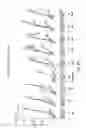 Fig. 43 - SEMI-SOFT C-CLASS IMMUNOSTIMULATORY OLIGONUCLEOTIDES