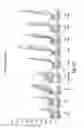 Fig. 44 - SEMI-SOFT C-CLASS IMMUNOSTIMULATORY OLIGONUCLEOTIDES