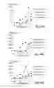Fig. 50 - SEMI-SOFT C-CLASS IMMUNOSTIMULATORY OLIGONUCLEOTIDES