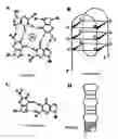 Fig. 01 - Method of treating inflammatory arthropathies with suppressors of CpG oligonucleotides