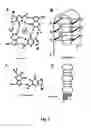 Fig. 02 - Method of treating inflammatory arthropathies with suppressors of CpG oligonucleotides
