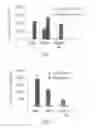 Fig. 02 - PROMOTERS EXHIBITING ENDOTHELIAL CELL SPECIFICITY AND METHODS OF USING SAME