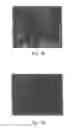 Fig. 03 - PROMOTERS EXHIBITING ENDOTHELIAL CELL SPECIFICITY AND METHODS OF USING SAME