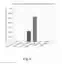 Fig. 05 - PROMOTERS EXHIBITING ENDOTHELIAL CELL SPECIFICITY AND METHODS OF USING SAME