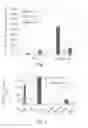 Fig. 06 - PROMOTERS EXHIBITING ENDOTHELIAL CELL SPECIFICITY AND METHODS OF USING SAME
