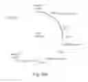 Fig. 16 - PROMOTERS EXHIBITING ENDOTHELIAL CELL SPECIFICITY AND METHODS OF USING SAME